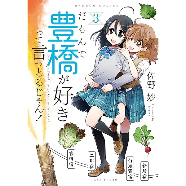 だもんで豊橋が好きって言っとるじゃん! (4) (バンブー